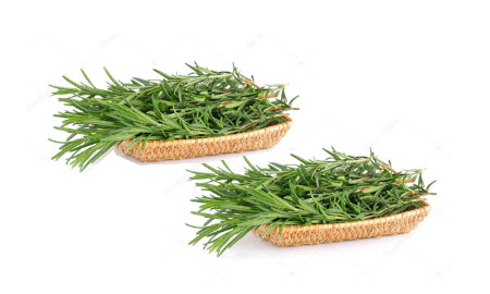 Rosemary Sprigs for Reflection Funeral time within the funeral service. Mourners are offered rosemary to place upon the coffin to reflect.